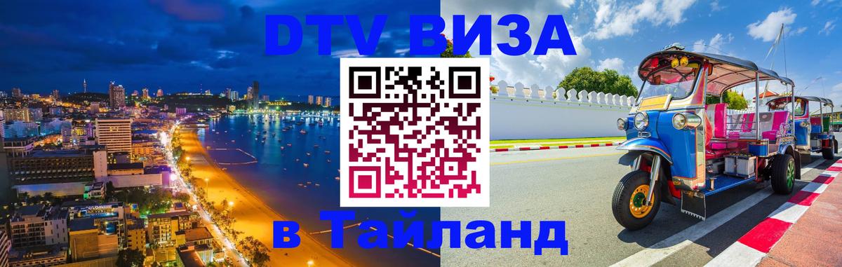 Оформление DTV визы под ключ: стоимость и тарифы, только загранпаспорт - 18.11.2025 